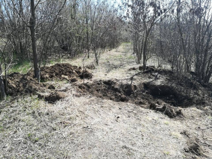 Detalii cutremuratoare. Ce au facut cei patru, tinerii gasiti morti si cei doi suspecti, inainte de tragedie. Ce spune mama unuia dintre cei doi adolescenti. Imagini de la locul unde au fost gasiti ingropati - GALERIE FOTO Detalii cutremuratoare. Ce au facut cei patru, tinerii gasiti morti si cei doi suspecti, inainte de tragedie. Ce spune mama unuia dintre cei doi adolescenti. Imagini de la locul unde au fost gasiti ingropati - GALERIE FOTO