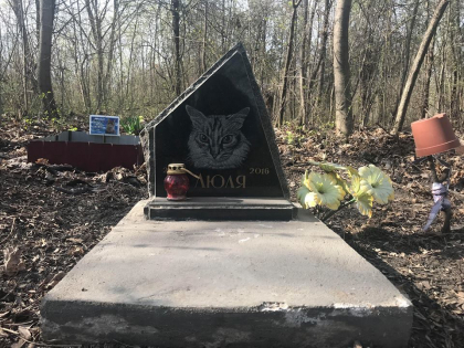 Cimitir de animale de companie, la Balti. Cum arata acesta - GALERIE FOTO