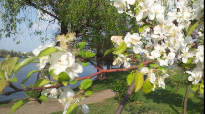 Vreme frumoasa si maxime de pana la 25 grade Celsius. Cat de cald va fi in urmatoarele zile. Prognoza meteo - FOTO