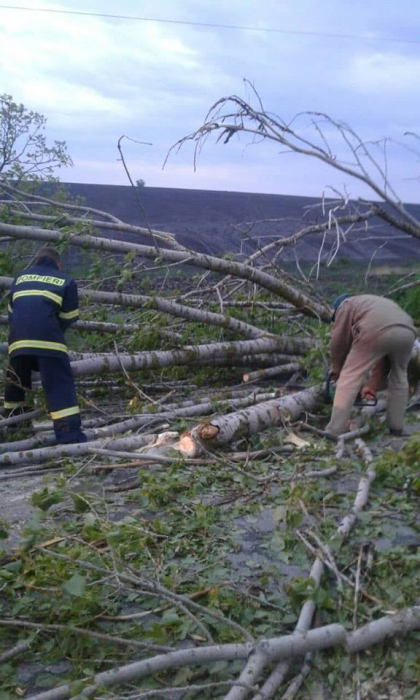 Arbori doborati la pamant, masini blocate, case cu acoperisurile smulse si sate fara curent electric. Ploaia torentiala a adus pagube imense unor locuitori. Grindina a afectat chiar si un depozit - GALERIE FOTO