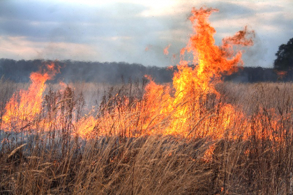 Pericol de incendiu. Meteorologii au emis un nou cod galben - FOTO Pericol de incendiu. Meteorologii au emis un nou cod galben - FOTO