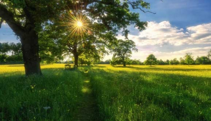 Prognoza meteo pentru astazi. Unde va ploua si ce temperaturi vom avea - FOTO