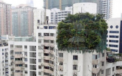 Un om de afaceri chinez si-a construit o vila pe acoperisul unui bloc. Cum a incercat sa o ascunda Un om de afaceri chinez si-a construit o vila pe acoperisul unui bloc. Cum a incercat sa o ascunda