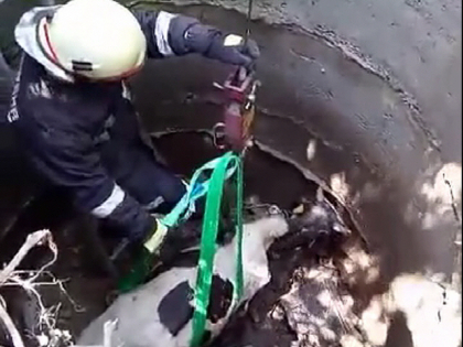 Momentul in care salvatorii scot un vitel de 300 de kg, care a cazut intr-o gura de canalizare pe strada Muncesti din capitala - VIDEO Momentul in care salvatorii scot un vitel de 300 de kg, care a cazut intr-o gura de canalizare pe strada Muncesti din capitala - VIDEO