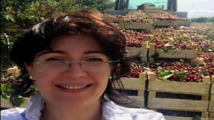 De cand nu mai este primar interimar, Silvia Radu... culege ciresi: "Am revenit la viata dinainte" - GALERIE FOTO