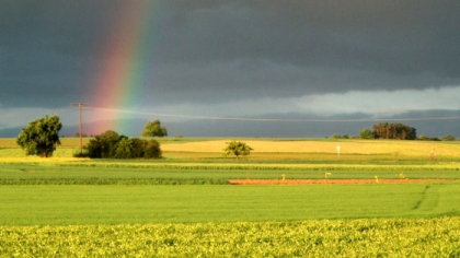 Temperaturi caniculare si ploi cu descarcari electrice. Cum va fi vremea in acest weekend. Prognoza meteo - FOTO