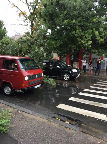 Un copac a cazut peste un bolid de lux, parcat pe strada Ismail din capitala - GALERIE FOTO