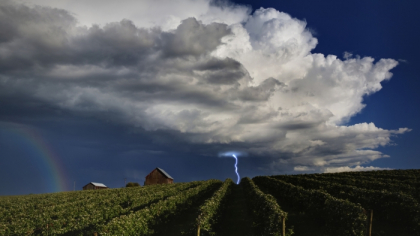 Vin ploi terentiale si cu descarcari electrice. Vezi unde. Ce spun meteorologii - FOTO Vin ploi terentiale si cu descarcari electrice. Vezi unde. Ce spun meteorologii - FOTO