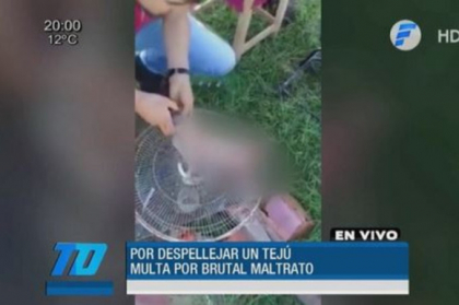 Motivul pentru care un barbat din Paraguay a primit o amenda de 70.000 de dolari. Imagini care pot afecta emotional - VIDEO Motivul pentru care un barbat din Paraguay a primit o amenda de 70.000 de dolari. Imagini care pot afecta emotional - VIDEO