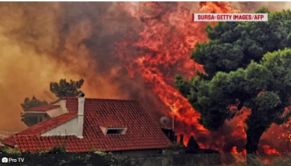 Bilantul incendiilor devastatoare din Grecia a ajuns la 88 de morti, printre care si copii Bilantul incendiilor devastatoare din Grecia a ajuns la 88 de morti, printre care si copii