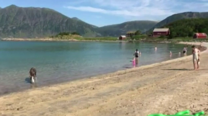 Caldura face ravagii in Europa. Un ren a fost surprins in Norvegia in timp ce se racorea in mare Caldura face ravagii in Europa. Un ren a fost surprins in Norvegia in timp ce se racorea in mare