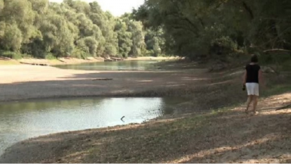 Dunarea, pe cale sa sece. Tarile in care fluviul nu mai este navigabil Dunarea, pe cale sa sece. Tarile in care fluviul nu mai este navigabil