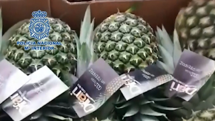 Au ascuns zeci de kilograme de cocaina in fructe de anans. Politistii spanioli au facut descoperirea la un depozit angro - VIDEO Au ascuns zeci de kilograme de cocaina in fructe de anans. Politistii spanioli au facut descoperirea la un depozit angro - VIDEO