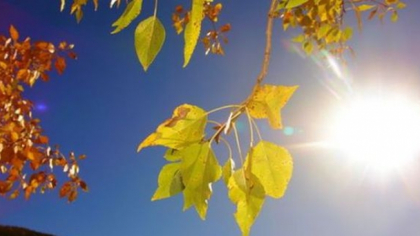 Codul galben de canicula ramane valabil in toata tara. Astazi, in capitala, vom avea 32 de grade Celsius. Prognoza meteo