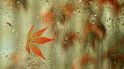Gata cu vremea frumoasa. Ploua in capitala. Ce temperaturi vom avea in urmatoarele zile Gata cu vremea frumoasa. Ploua in capitala. Ce temperaturi vom avea in urmatoarele zile