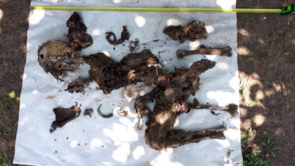Si-au omorat amicul de pahar si l-au aruncat intr-un veceu dintr-o gospodarie din Nisporeni. Suspectii, retinuti in Romania. Concubina unuia dintre ei a gasit osemintele si a sunat la politie - FOTO Si-au omorat amicul de pahar si l-au aruncat intr-un veceu dintr-o gospodarie din Nisporeni. Suspectii, retinuti in Romania. Concubina unuia dintre ei a gasit osemintele si a sunat la politie - FOTO