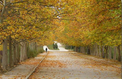 Cat de cald va fi astazi si cate grade vor indica termometrele in wekeend. Prognoza meteo - FOTO