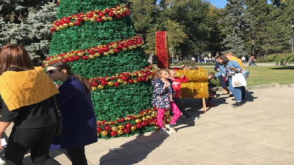 Cine a instalat brazii in PMAN? "Suntem uimiti". Cum explica responsabilii de la Primarie aparitia pomilor de Craciun, de hramul Orasului, in centru capitalei Cine a instalat brazii in PMAN? "Suntem uimiti". Cum explica responsabilii de la Primarie aparitia pomilor de Craciun, de hramul Orasului, in centru capitalei