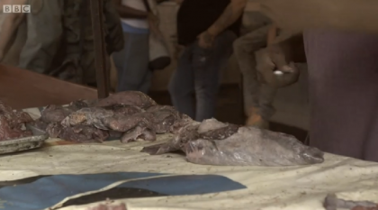 Tara in care oamenii sunt nevoiti sa consume carne stricata pentru a supravietui - VIDEO Tara in care oamenii sunt nevoiti sa consume carne stricata pentru a supravietui - VIDEO