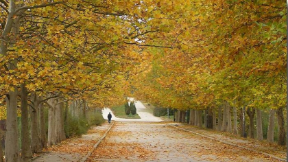 Cat de cald va fi astazi si cate grade vor indica termometrele in urmatoarele zile. Prognoza meteo - FOTO