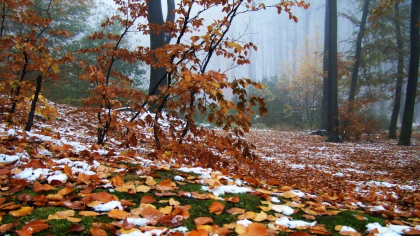 Prognoza meteo. Cum va fi vremea in acest weekend. Vezi de cand se va raci - FOTO Prognoza meteo. Cum va fi vremea in acest weekend. Vezi de cand se va raci - FOTO