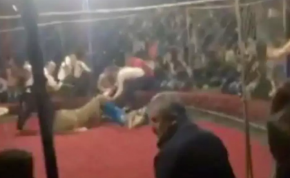 O leoaica a atacat o fetita de 4 ani, la un spectacol de circ, in Rusia. Momentul a fost filmat de un spectator - VIDEO