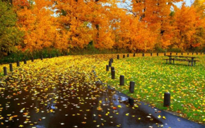 Ce temperaturi vom avea astazi si cum va fi vremea in urmatoarele zile. Prognoza meteo - FOTO