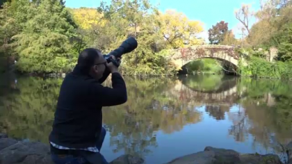 Aparitia misterioasa din Central Park care a atras mii de curiosi: "Am facut cateva sute de poze"