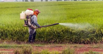 Cum a ajuns substanta chimica in gospodaria de la Flocoasa, acolo unde cinci persoane s-au intoxicat, dintre care trei copii au murit. Anuntul facut de ANSA