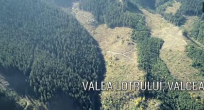 Cum trec miile de camioane incarcate cu lemn taiat ilegal prin sate si orase fara ca autoritatile din Romania sa ia masuri Cum trec miile de camioane incarcate cu lemn taiat ilegal prin sate si orase fara ca autoritatile din Romania sa ia masuri