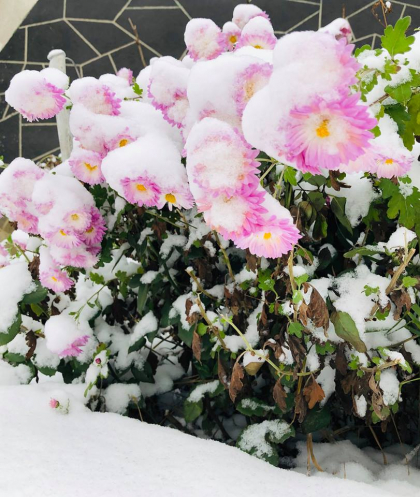 Ninsori si temperaturi de pana la minus 5 grade Celsius. Ce spun meteorologii si cum va fi vremea in urmatoarele zile - GALERIE FOTO