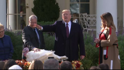 Trump a gratiat 2 curcani, o traditie populara la Casa Alba de Ziua Recunostintei Trump a gratiat 2 curcani, o traditie populara la Casa Alba de Ziua Recunostintei