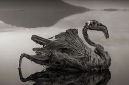 Misterul lacului Natron! Apa care transforma orice fiinta in stana de piatra - VIDEO Misterul lacului Natron! Apa care transforma orice fiinta in stana de piatra - VIDEO