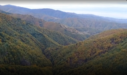 Reportaj BBC: Padurea rara din Romania care dispare - VIDEO