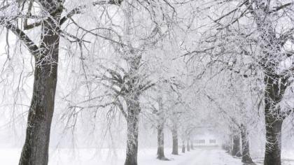 Ingheturi si minime de pana -10 grade Celsius. Cum va fi vremea in urmatoarele zile. Prognoza meteo - FOTO