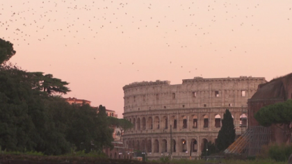 Invazie de grauri la Roma. Localnicii, nevoiti sa iasa pe strada cu umbrele, ca sa se apere - FOTO Invazie de grauri la Roma. Localnicii, nevoiti sa iasa pe strada cu umbrele, ca sa se apere - FOTO