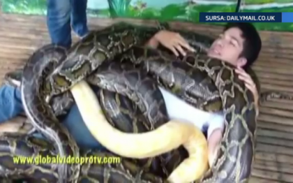 Masaj cu serpi, bonusul bizar oferit de o gradina zoologica din Filipine. Regulile stricte pe care le respecta "clientul"