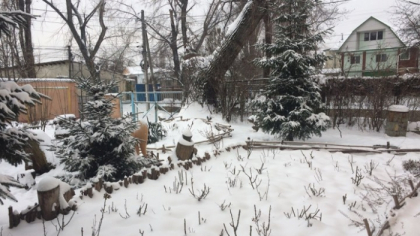 Ninsori si temperaturi de pana la minus 2 grade Celsius. Cum va fi vremea in urmatoarele zile. Prognoza meteo - FOTO