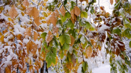 Prognoza meteo. Cum va fi vremea astazi, dar si in urmatoarele zile - FOTO