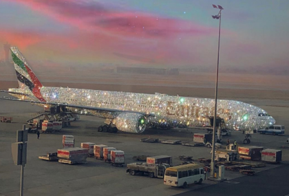 Adevarul din spatele imaginii cu avionul din Emiratele Arabe acoperit cu diamante - FOTO