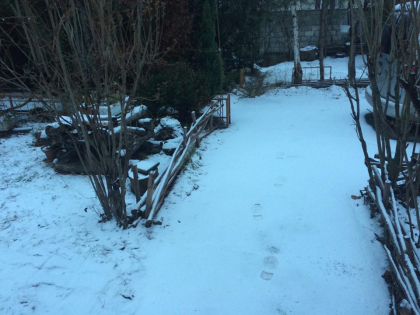 Ninsori si maxime de pana la 5 grade Celsius. Cum va fi vremea in urmatoarele zile. Prognoza meteo - FOTO Ninsori si maxime de pana la 5 grade Celsius. Cum va fi vremea in urmatoarele zile. Prognoza meteo - FOTO