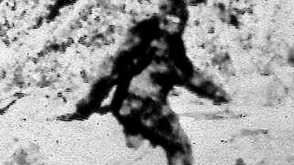 Un vanator a crezut ca il vede pe Bigfoot si a inceput sa traga. Ce a impuscat in realitate