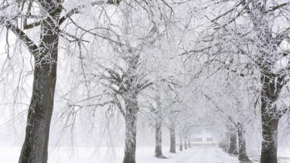 Cer variabil si minime de pana la -13 grade Celsius. Cand revin ninsorile. Prognoza meteo - FOTO Cer variabil si minime de pana la -13 grade Celsius. Cand revin ninsorile. Prognoza meteo - FOTO