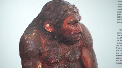 Descoperirea cercetatorilor romani despre omul de Neanderthal. Va schimba istoria
