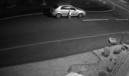 Caine surprins de camere in timp ce isi "implora" stapanul sa nu-l abandoneze - VIDEO Caine surprins de camere in timp ce isi "implora" stapanul sa nu-l abandoneze - VIDEO