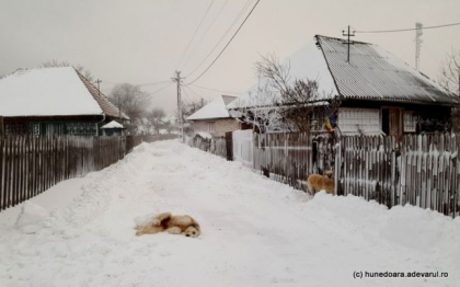 Prognoza meteo. Cum va fi vremea astazi, dar si in urmatoarele zile - FOTO