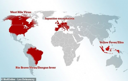Unde va avea loc urmatoarea epidemie? Iata harta cu zonele de risc