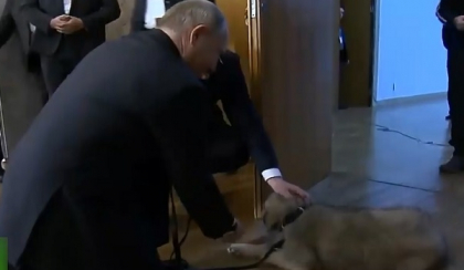 Vladimir Putin a primit in dar de la omologul sau sarb un catel de rasa ciobanesc de Iugoslavia. Reactia liderului rus Vladimir Putin a primit in dar de la omologul sau sarb un catel de rasa ciobanesc de Iugoslavia. Reactia liderului rus