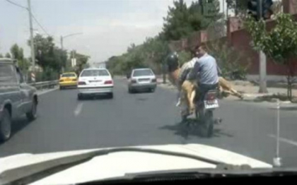 Moment amuzant pe o strada din Iran. Doi barbati au luat cativa pasageri inediti pe motoreta Moment amuzant pe o strada din Iran. Doi barbati au luat cativa pasageri inediti pe motoreta