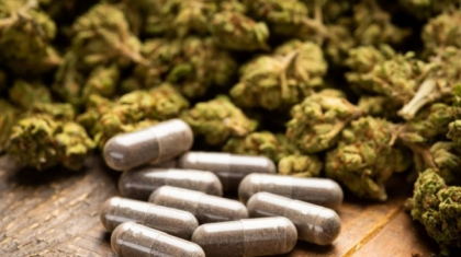 Inca o tara din Europa legalizeaza canabisul in scop terapeutic Inca o tara din Europa legalizeaza canabisul in scop terapeutic